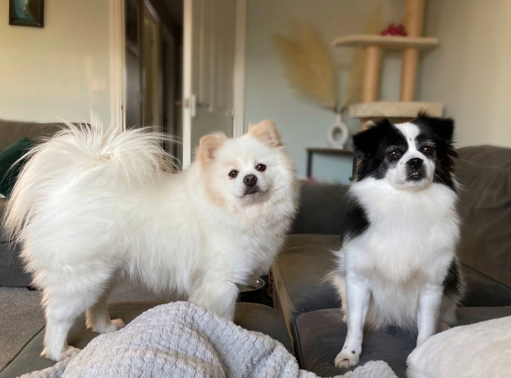 3E5B3DCC-6397-4C4C-BC7B-F25A04CDFA69