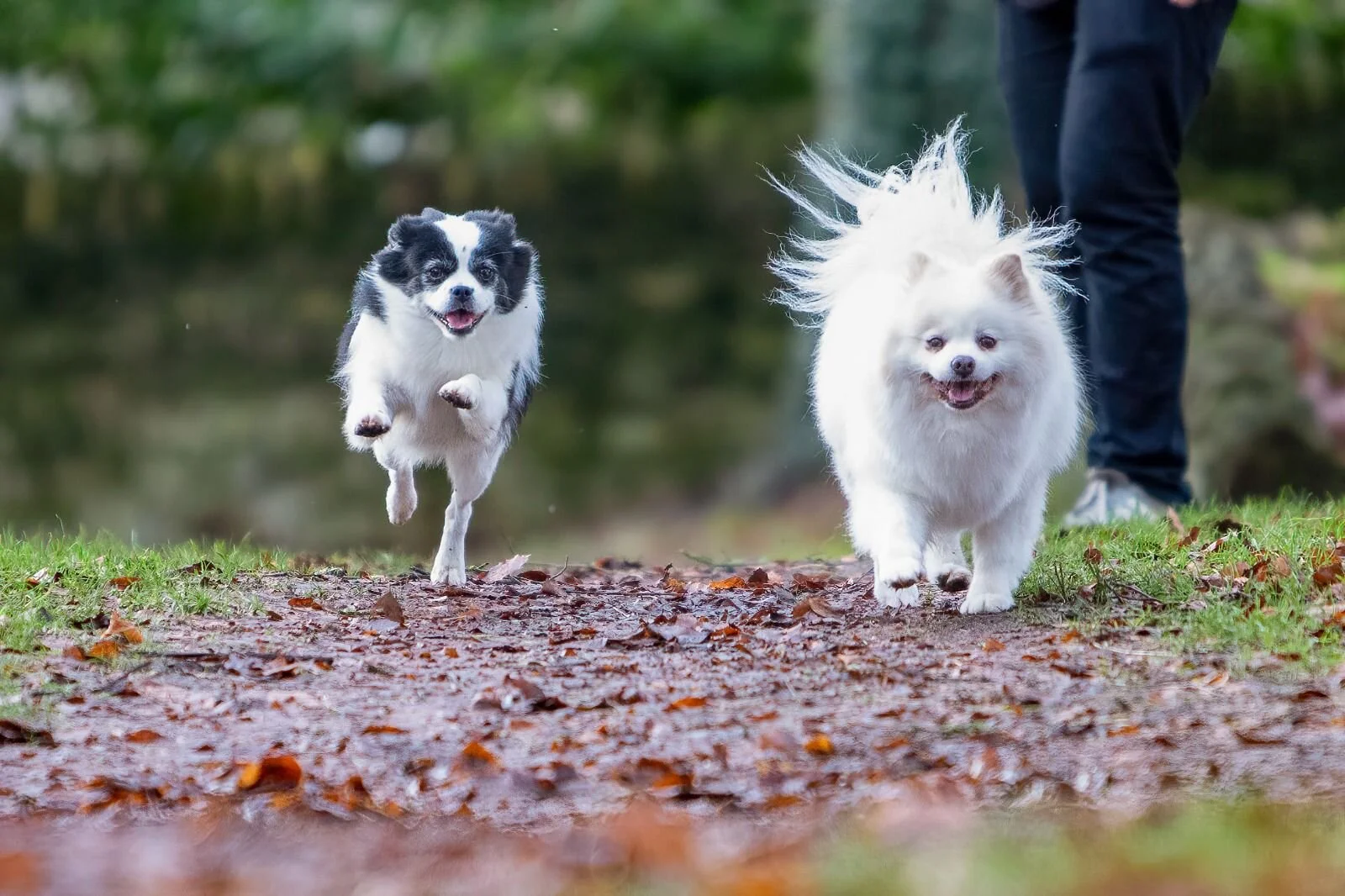 2C4A00B6-7913-4DA8-94EB-B36AC28EE22E