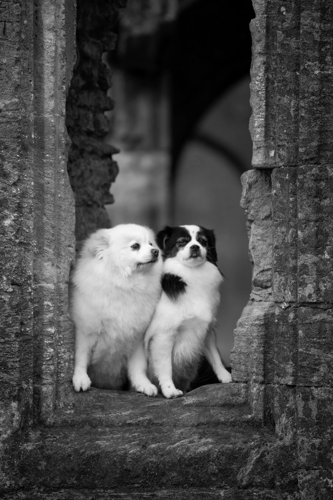 18002448-FCBA-45EB-93E6-AADAF32C9168