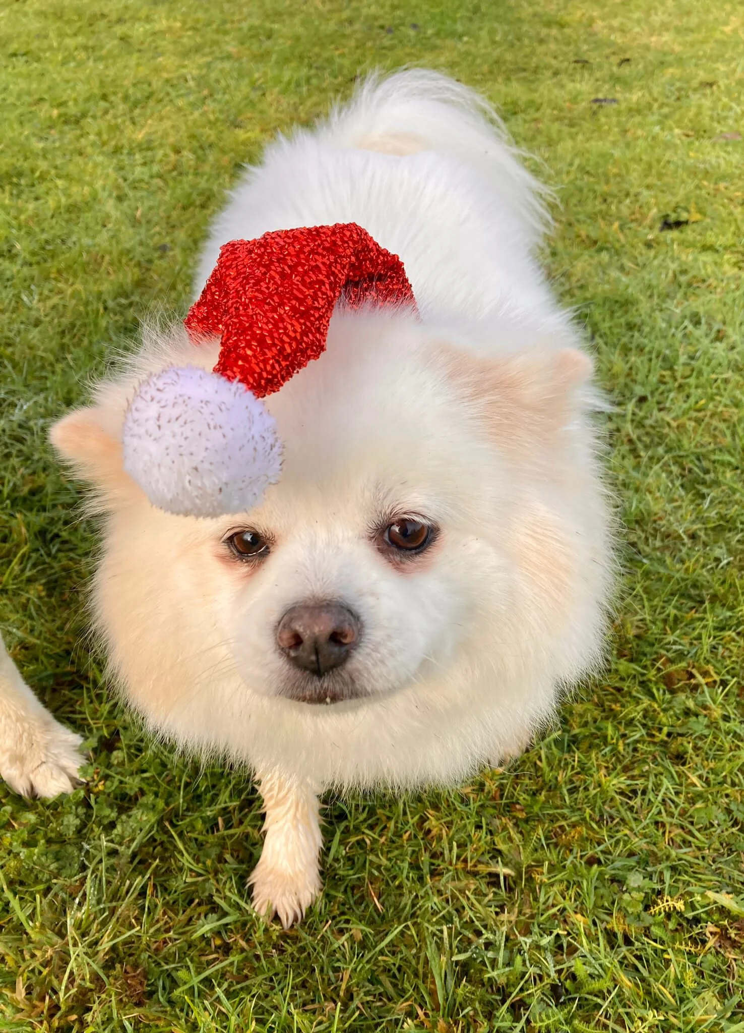 D83B8174-22D7-4F05-BBF3-3B8F3F3101E5