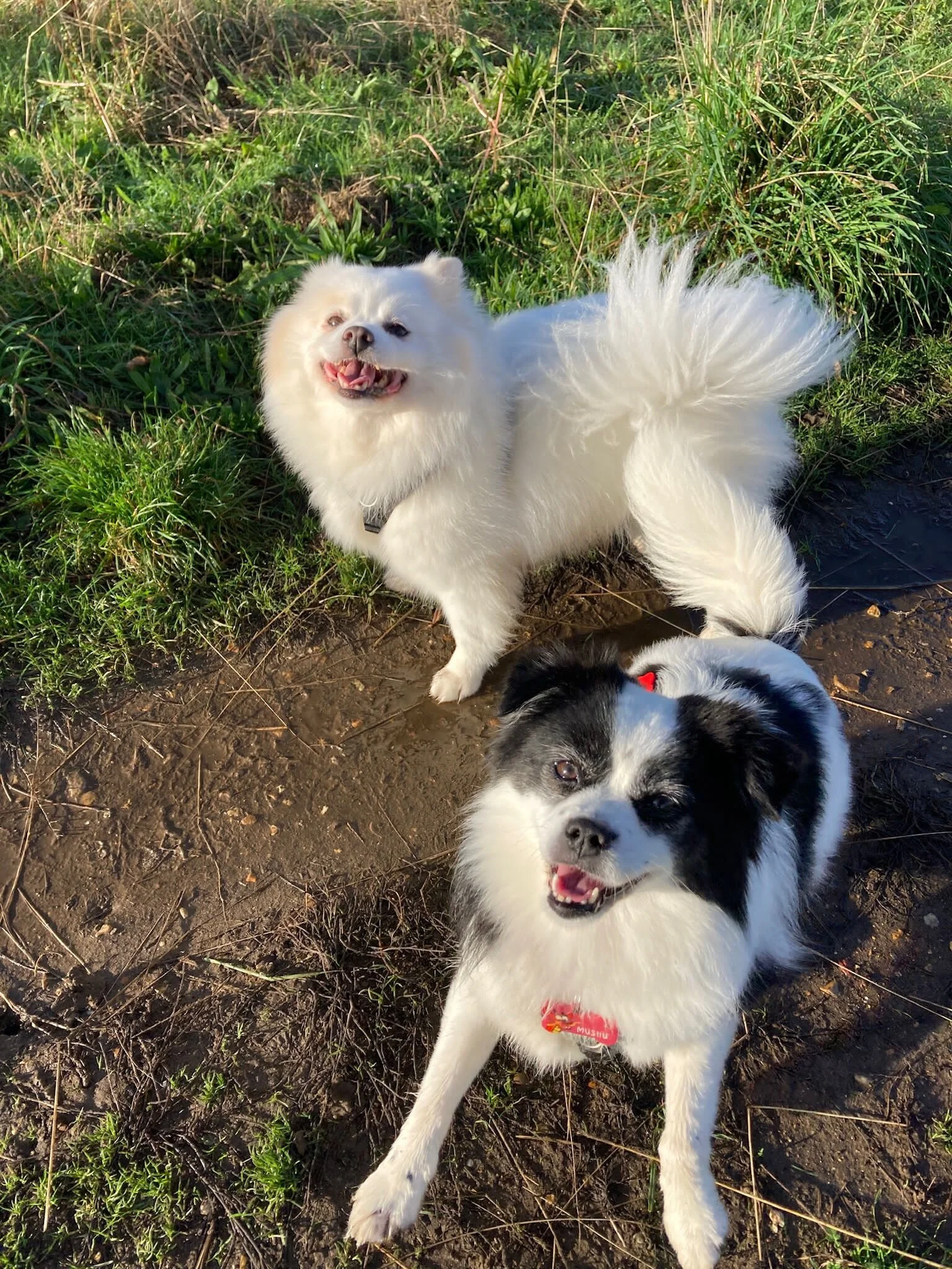 F1C9C19B-B5BC-43FD-95B2-1C166F21A8A8