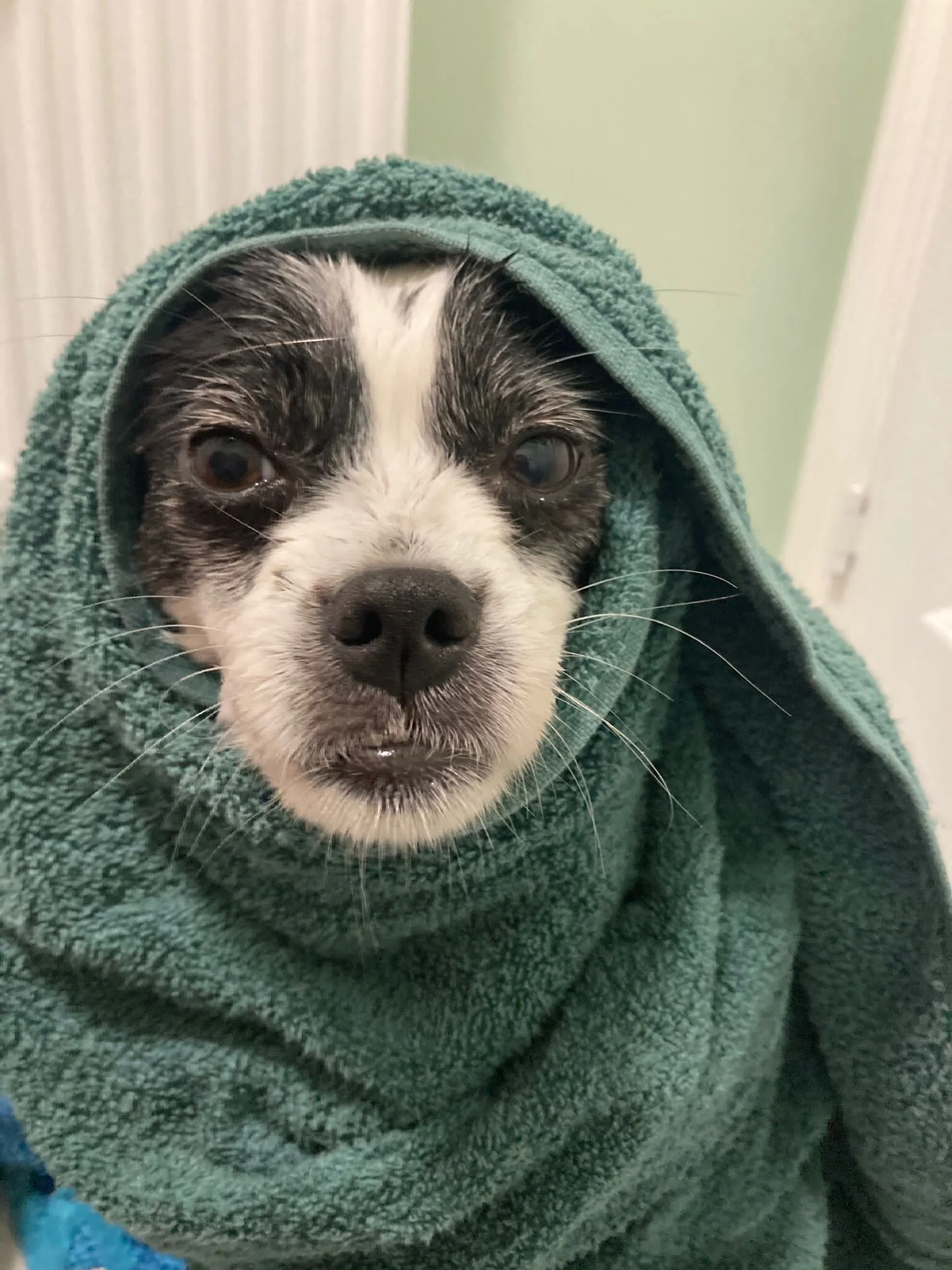 5735CB06-DBB6-4791-A43B-771A6444480C