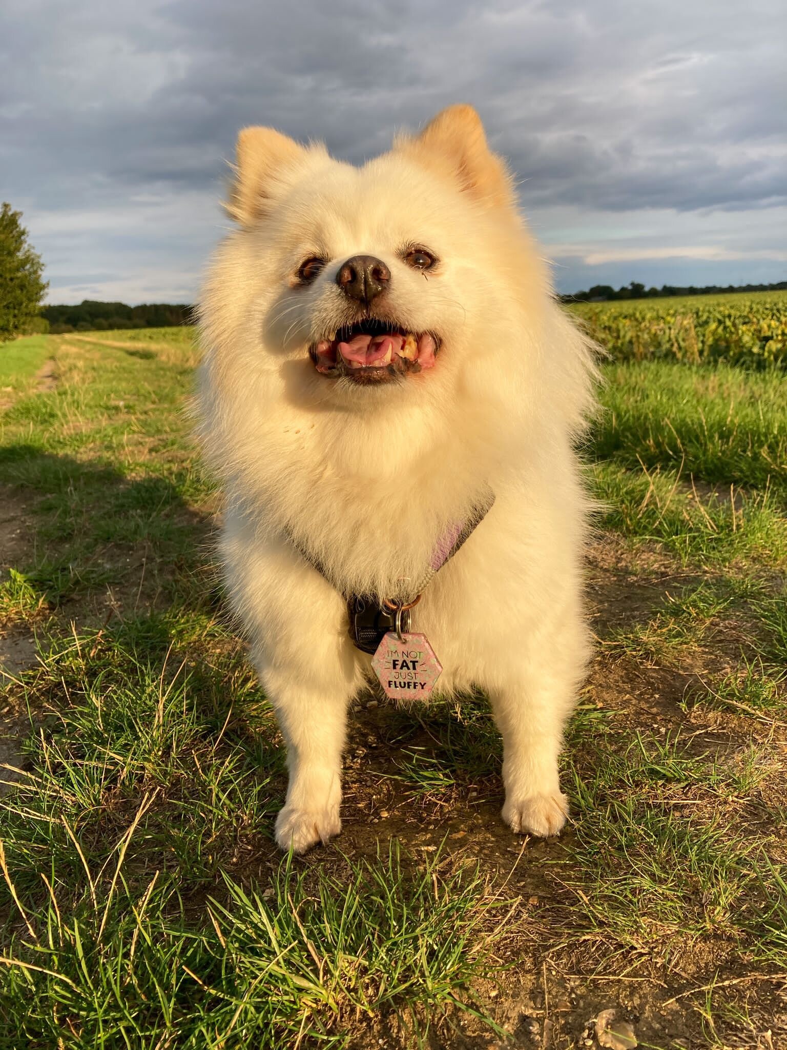 198C5399-5C4C-4E52-AE8B-CF93F9484785