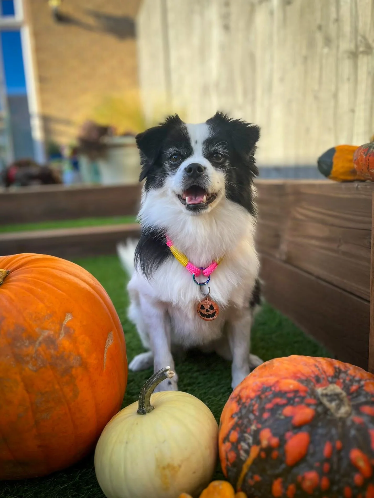 B2C11585-8DBF-4313-9302-FA929C5CD498