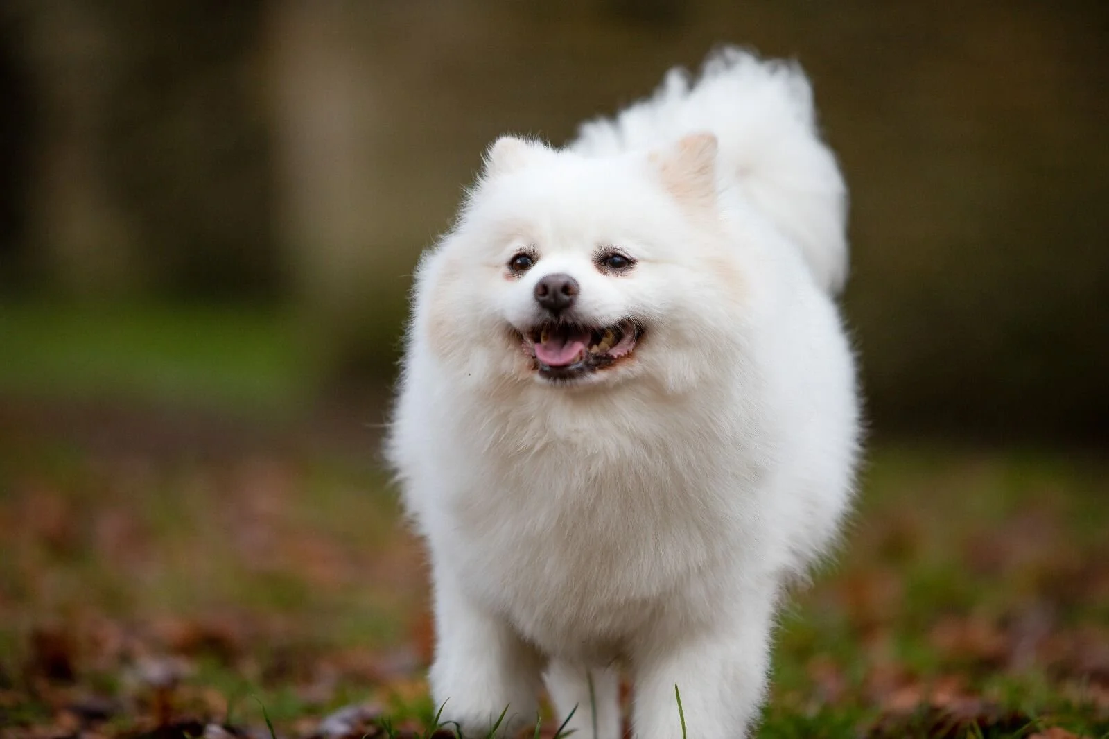 F389AAC1-4A2F-441A-8080-65201F79DF0F