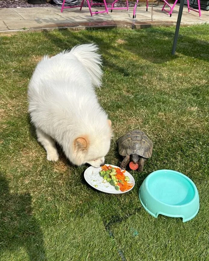 FF12E120-1B70-4D2B-A9BE-8E43EC7E05DB