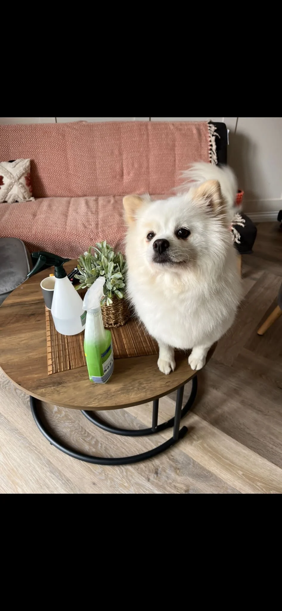 0C82007E-AE2F-4E8F-AA67-651A4959F8AA