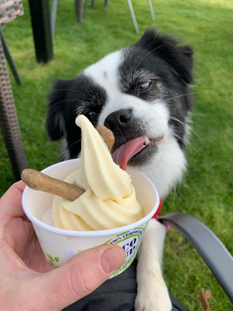 F4D21F69-10CD-47F3-98BA-849CD85FE957