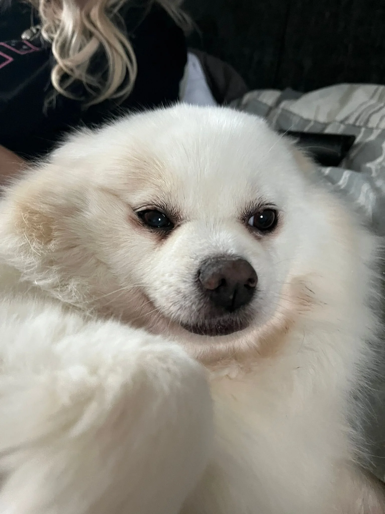 5EB9633A-F5EA-4D3B-8152-AA3089FA8A02