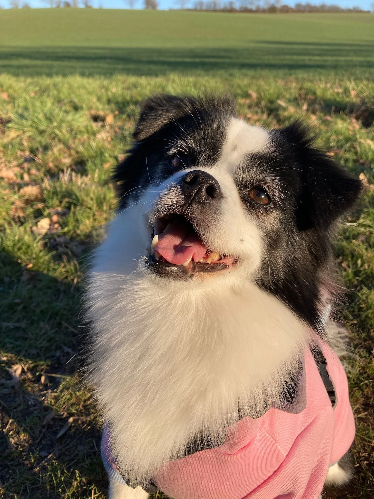 926B9616-4804-419A-A91A-E1CBFD0B6560