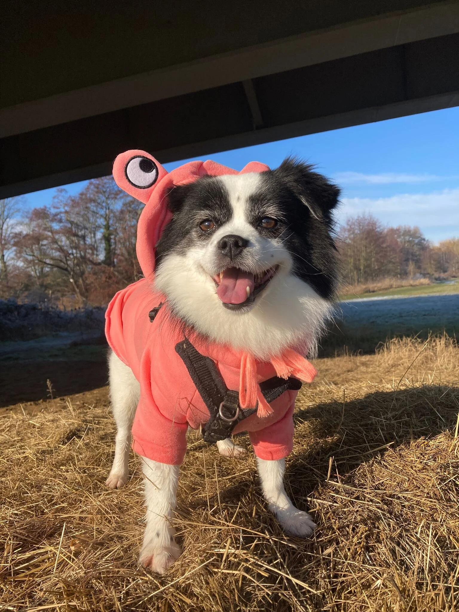 F9774584-EC77-4183-915F-47942A827DA6