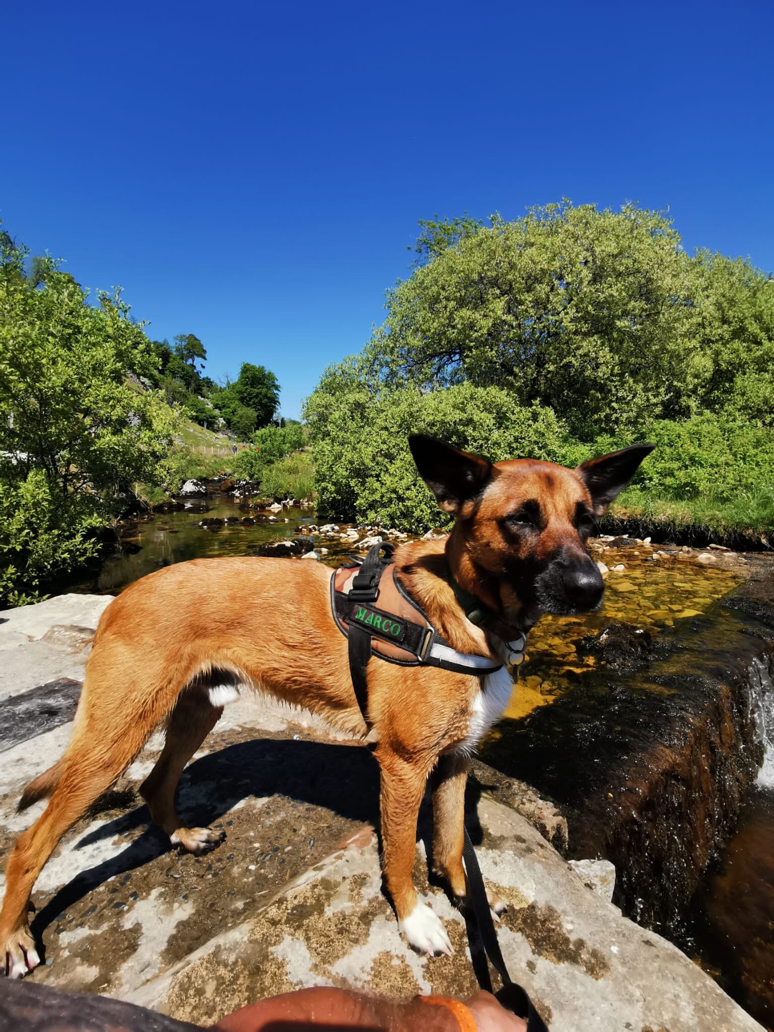 72F296FD-C7F5-445D-B0F2-119512DA5360