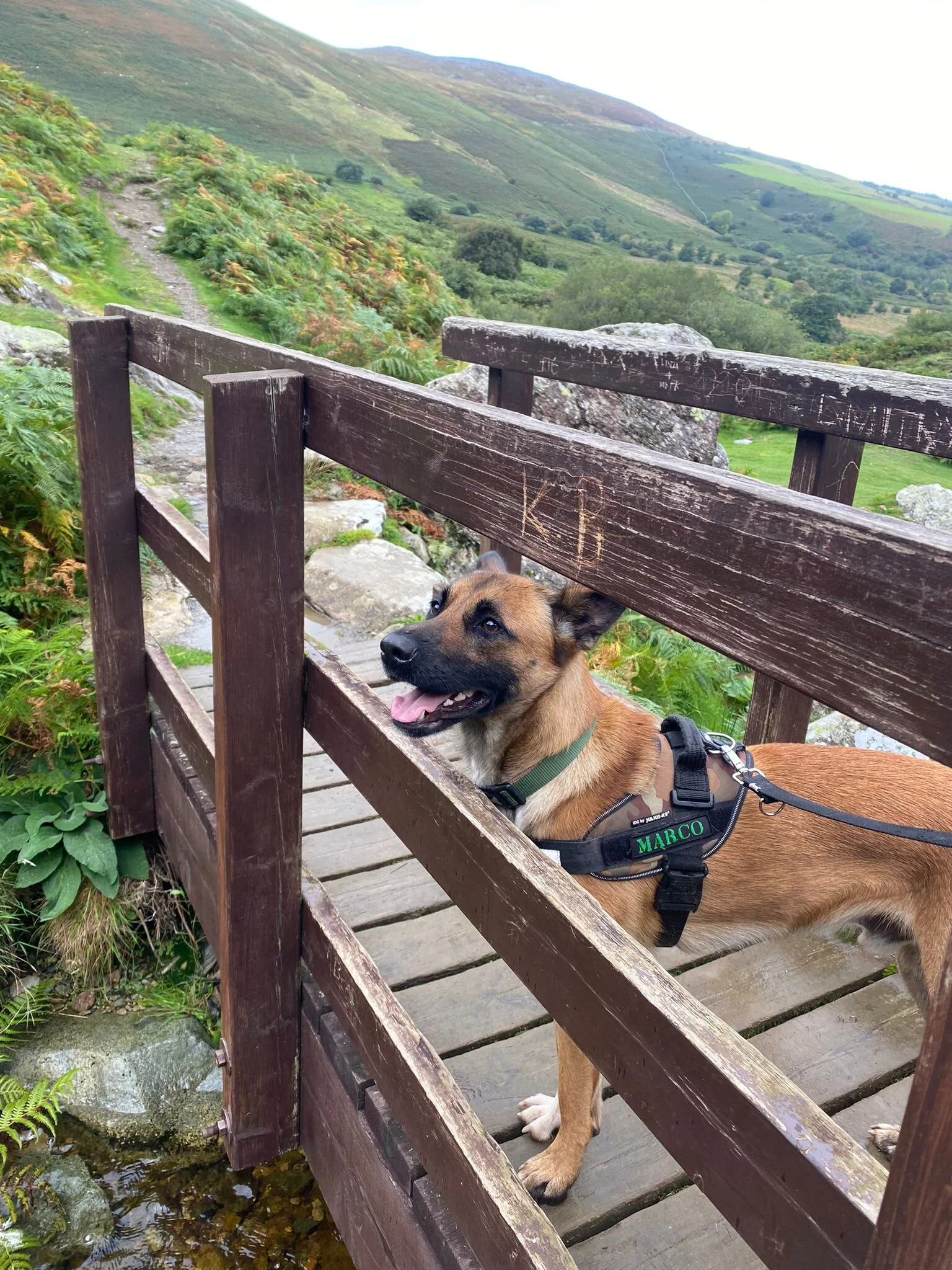 D6689AB1-FF10-45A0-B42B-054D35F3ACE1