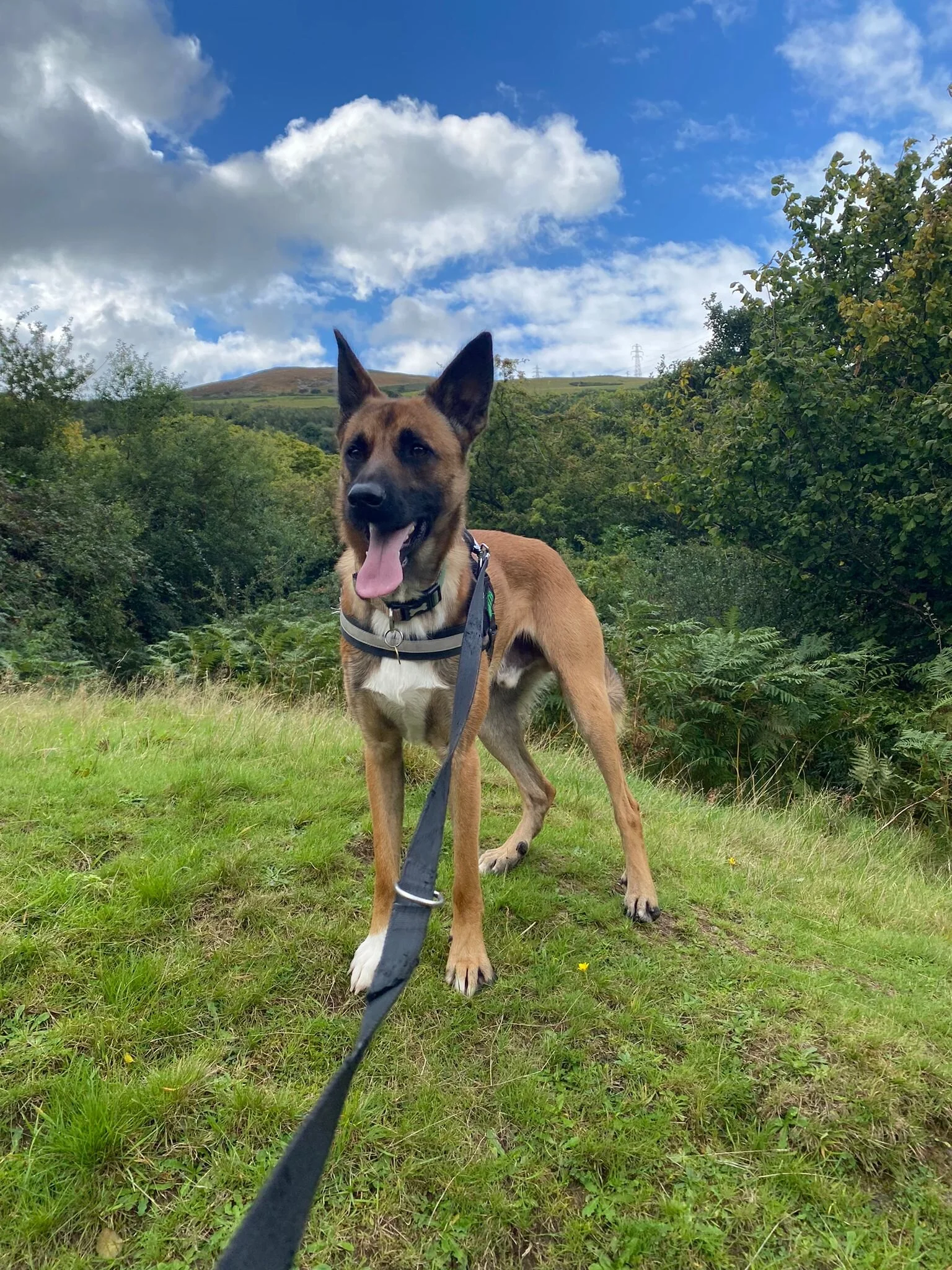 08710B96-C37D-4CDE-A271-D372E744B31B