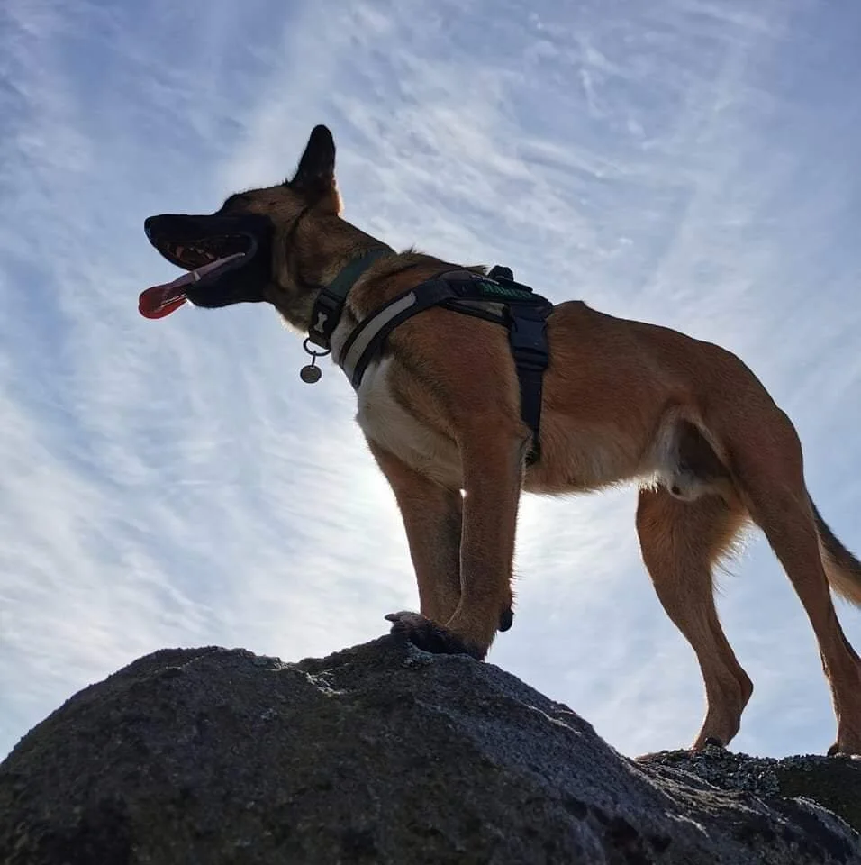 BE0F52A8-0ADD-4113-89E5-02DF7BE91A2B