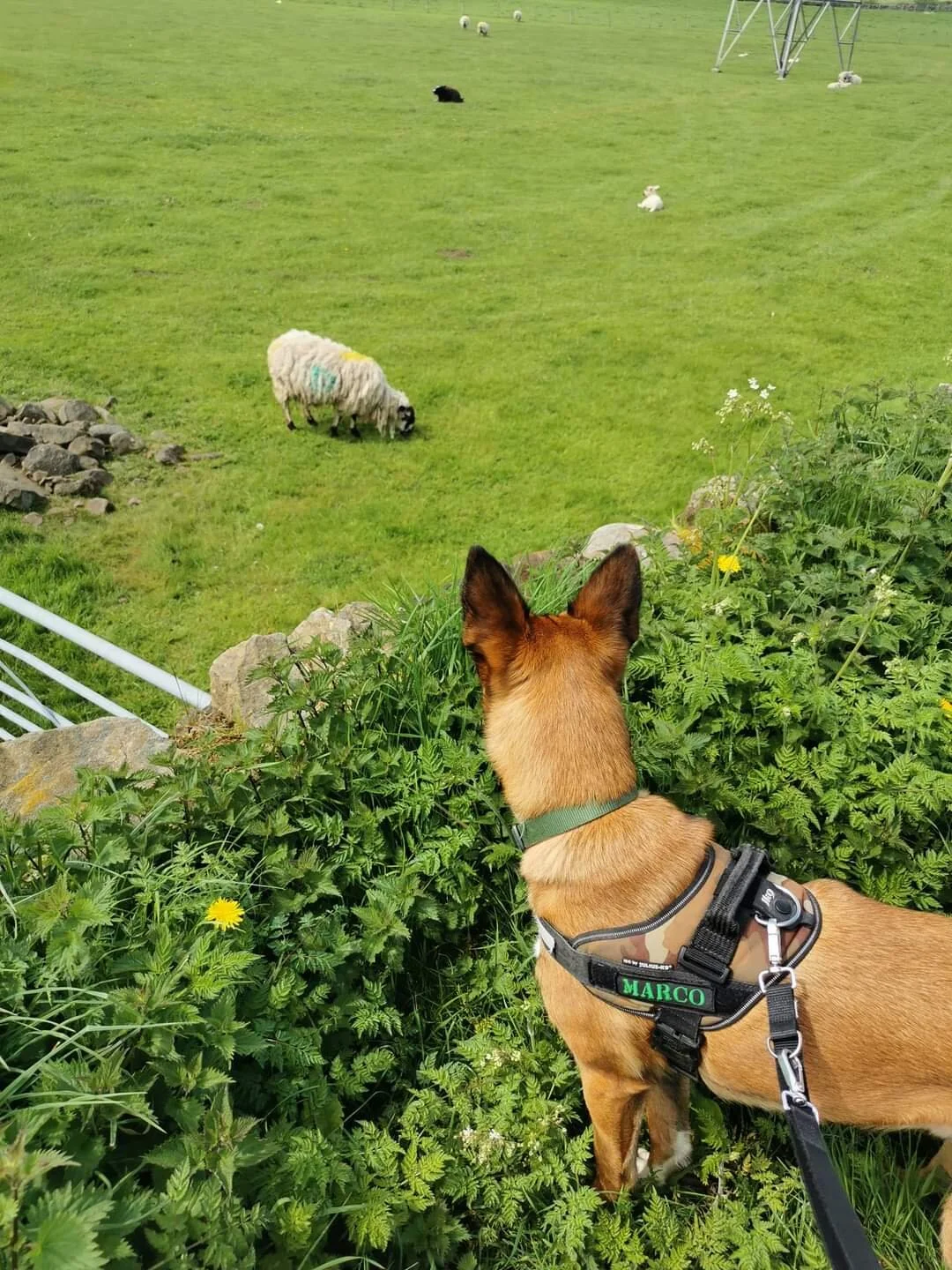 D83A3D6C-0E65-42E8-ABDD-2211CA3FDE97