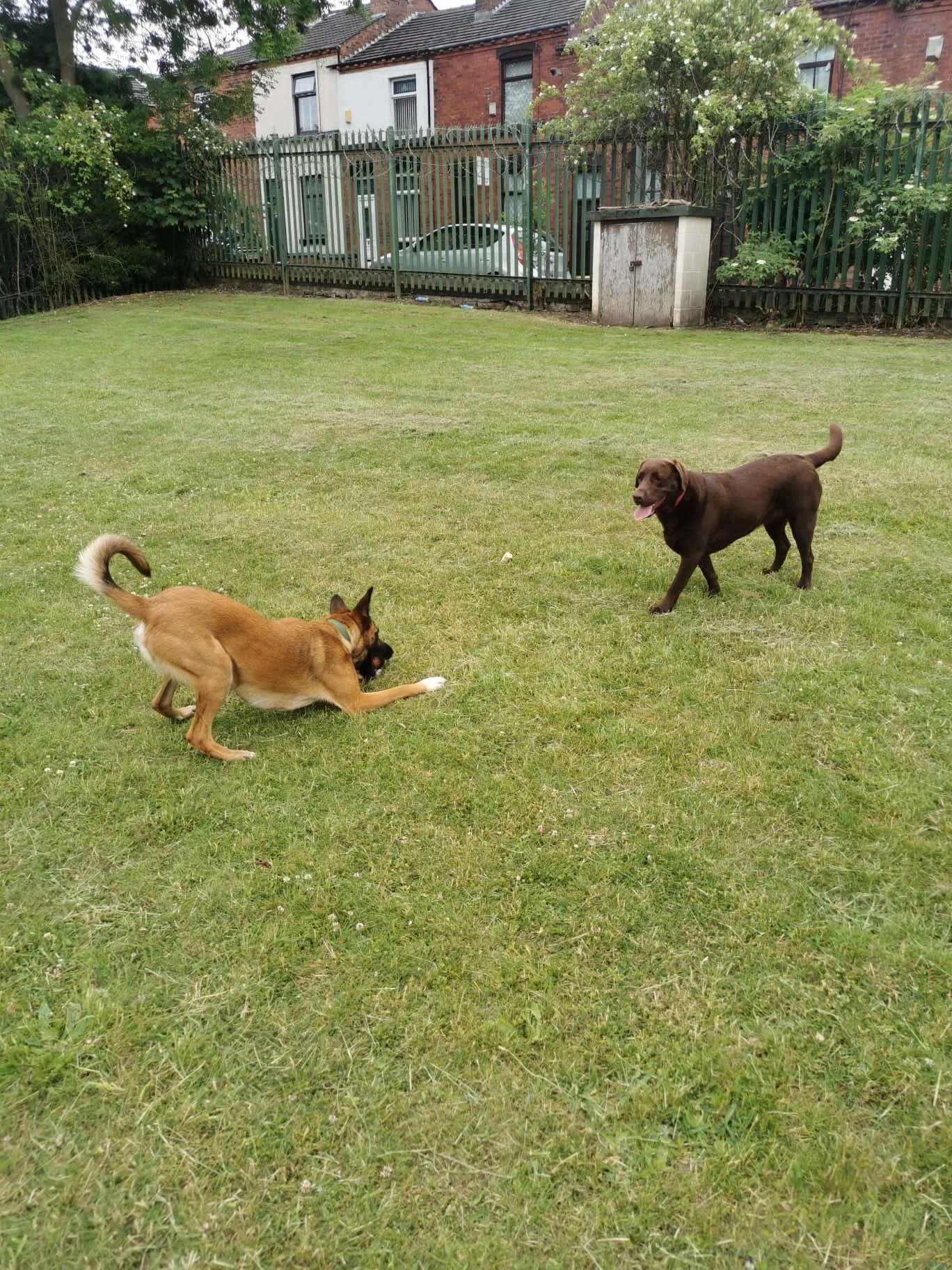 CB2918E9-16BA-41BB-ABDD-9032BB2614D0