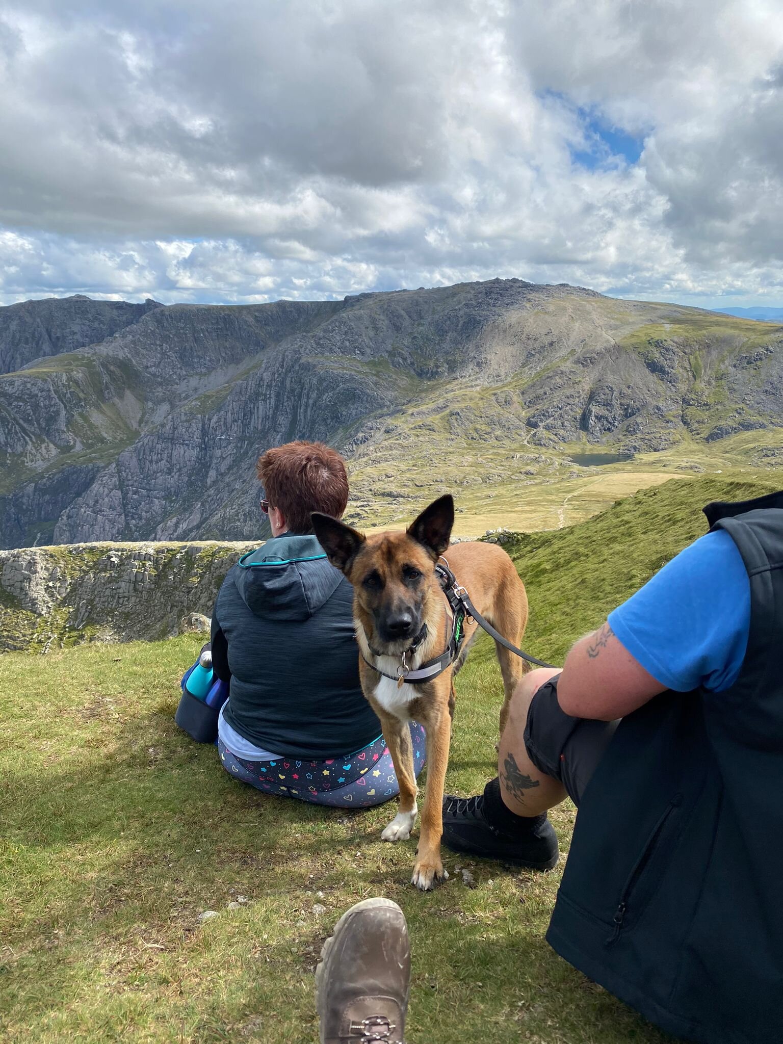 3A1B5112-27D1-4F95-B160-2A1DA85BE638