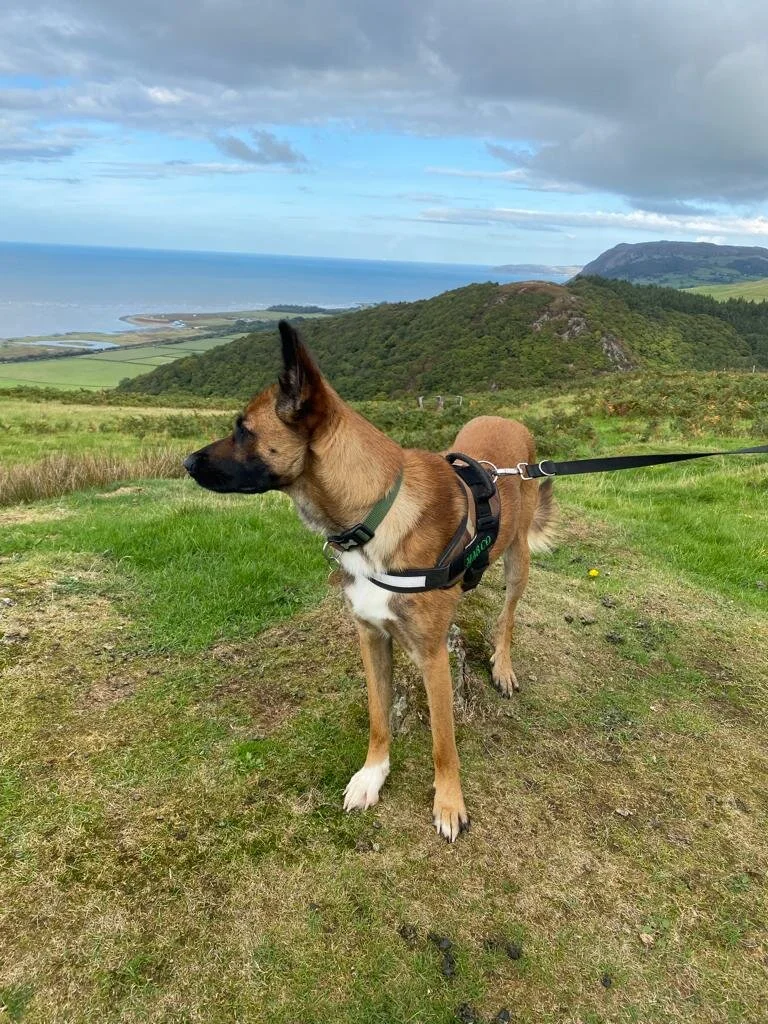 279CCA20-244D-47B1-A05C-6C409FB55A1C