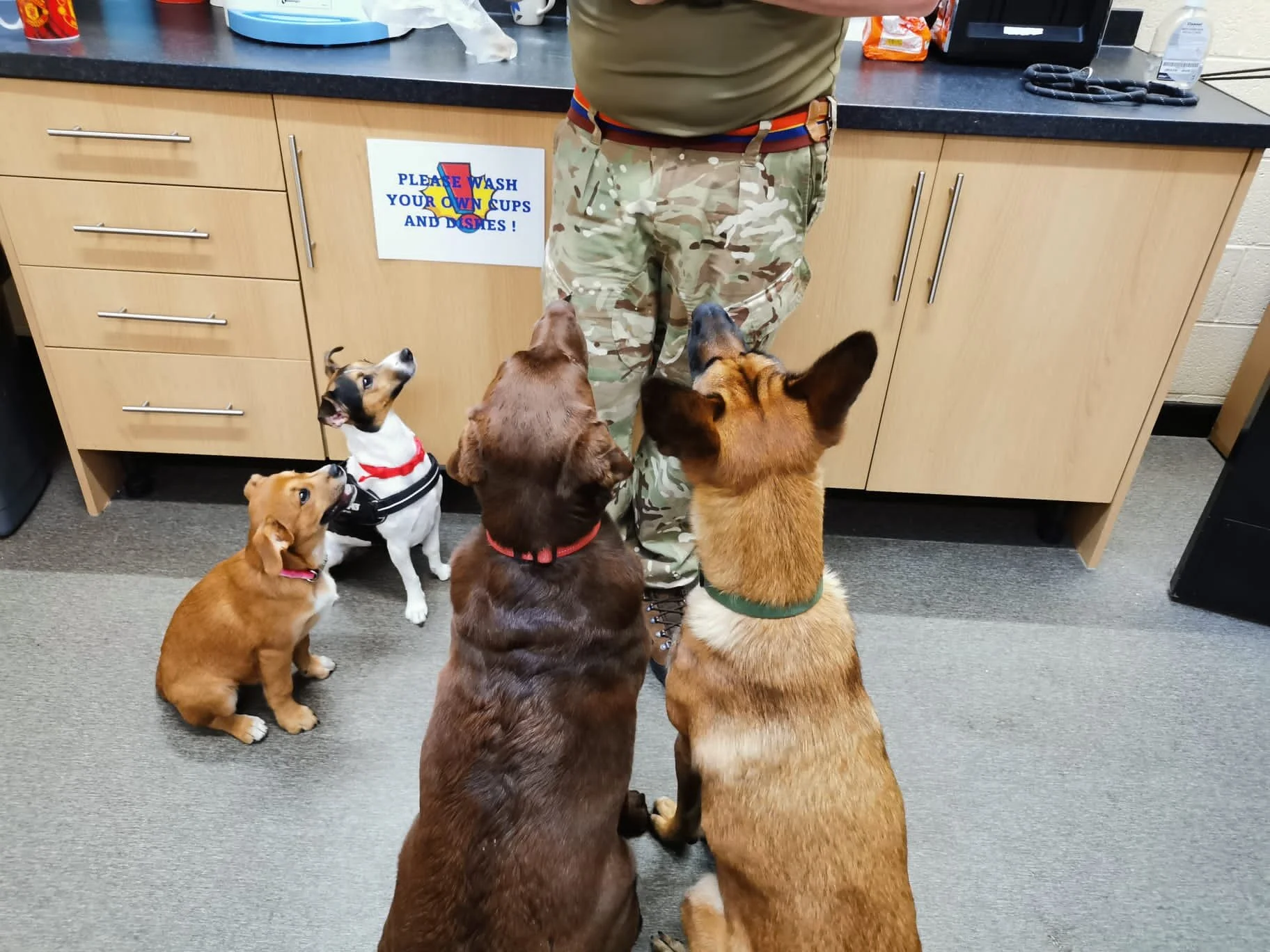 E9DC1EDA-E153-4F7D-9F24-E44DD746F034