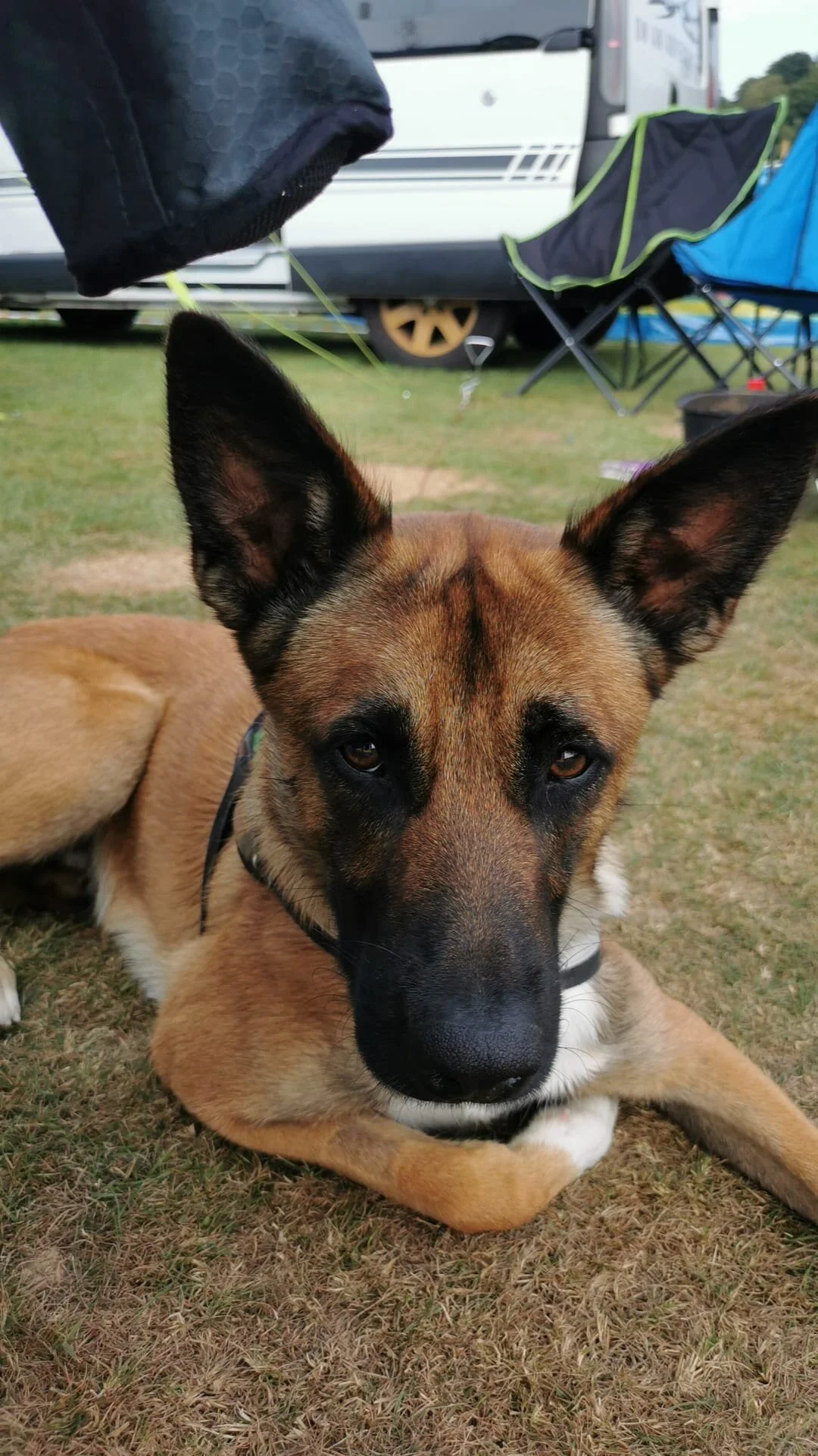 0357F02D-92ED-4BB4-9BBF-B5D0605529FC