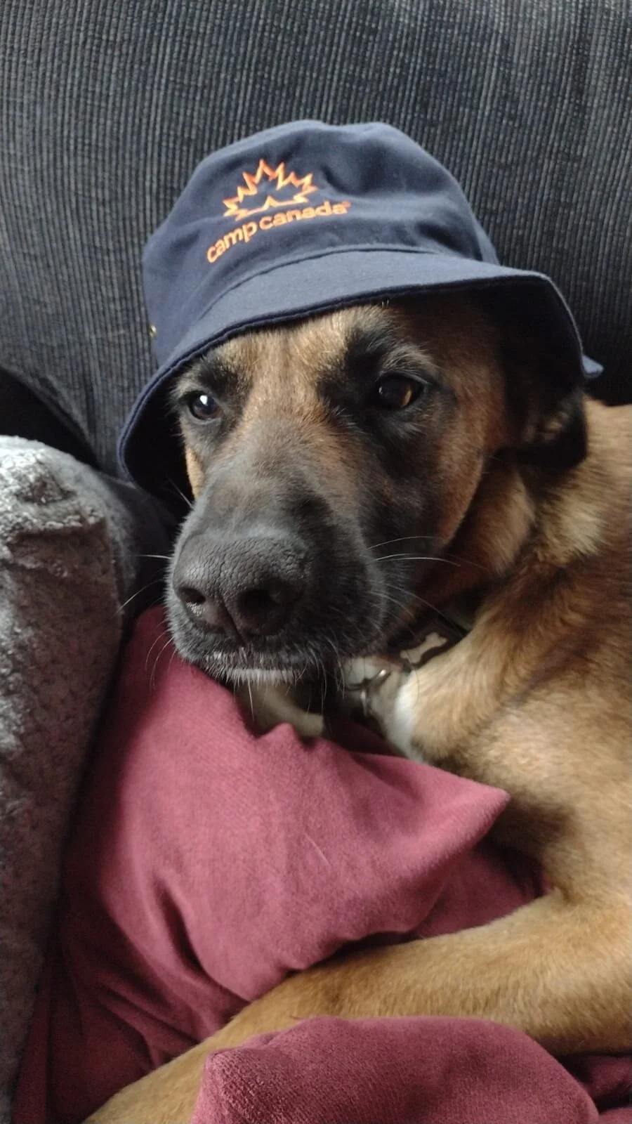 0EABF320-C497-429D-9FB7-6B30E3C44A8D