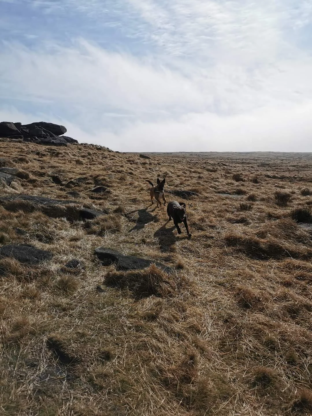 A8113477-4F18-4970-9355-B7E649E09129