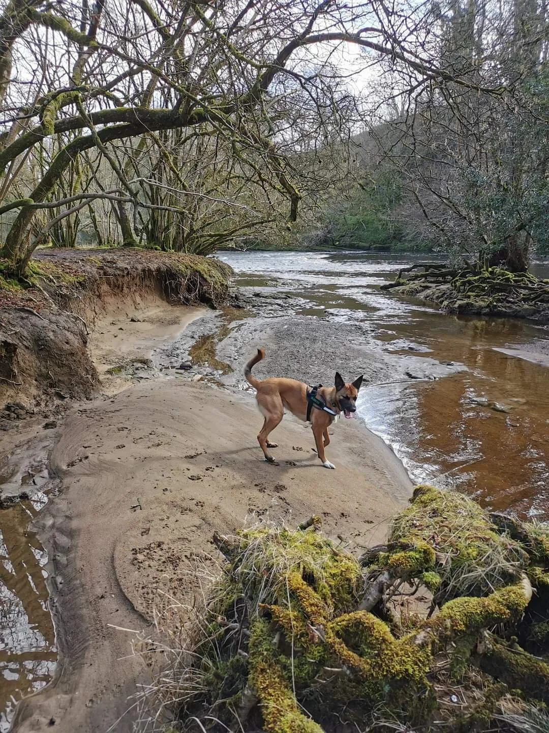 1343C7D7-8F07-462E-B9BC-A8D2D3F3F8FC