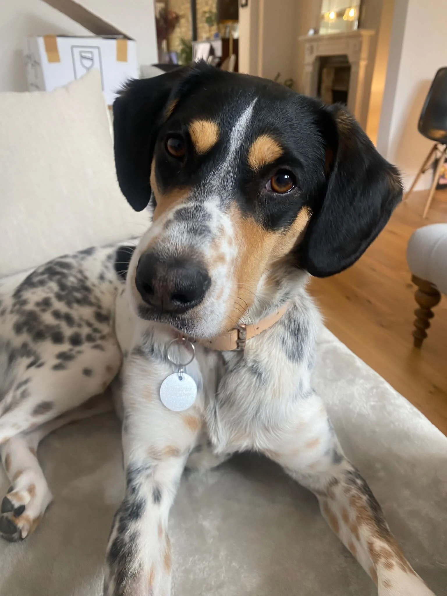 BE410B22-1F8F-4500-A184-EBC2F1DA6779