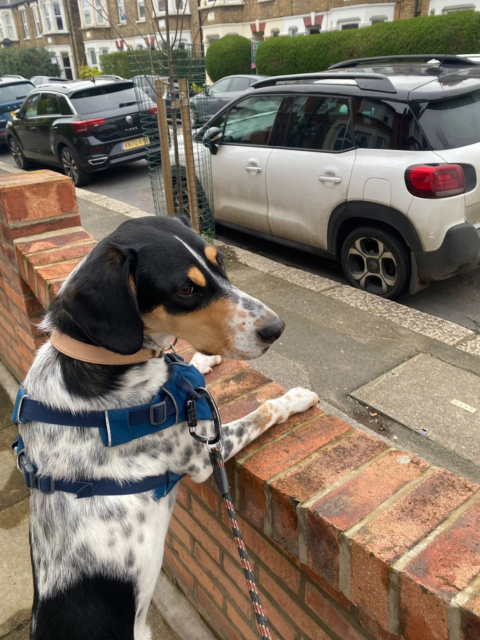 3F5383A1-7A60-430F-9518-4A33C772292F