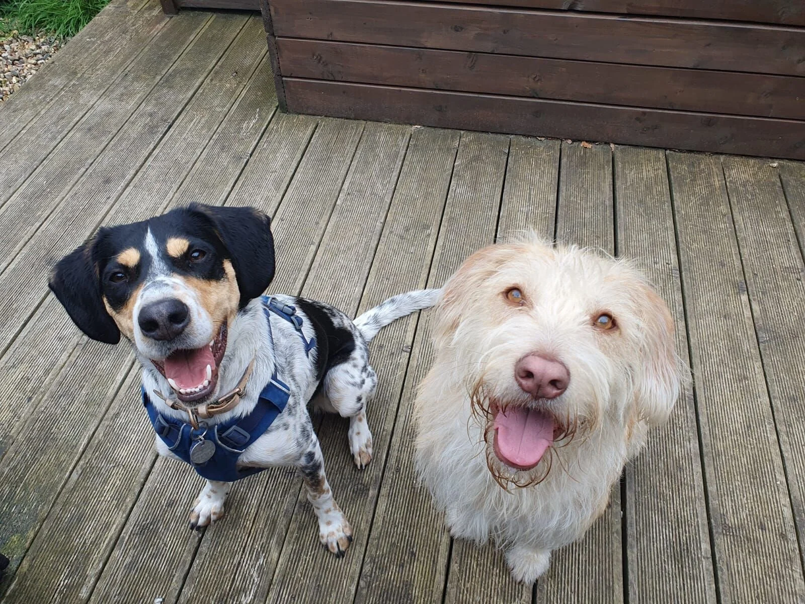 B810AA8C-951C-4297-BCDE-C0443C868473