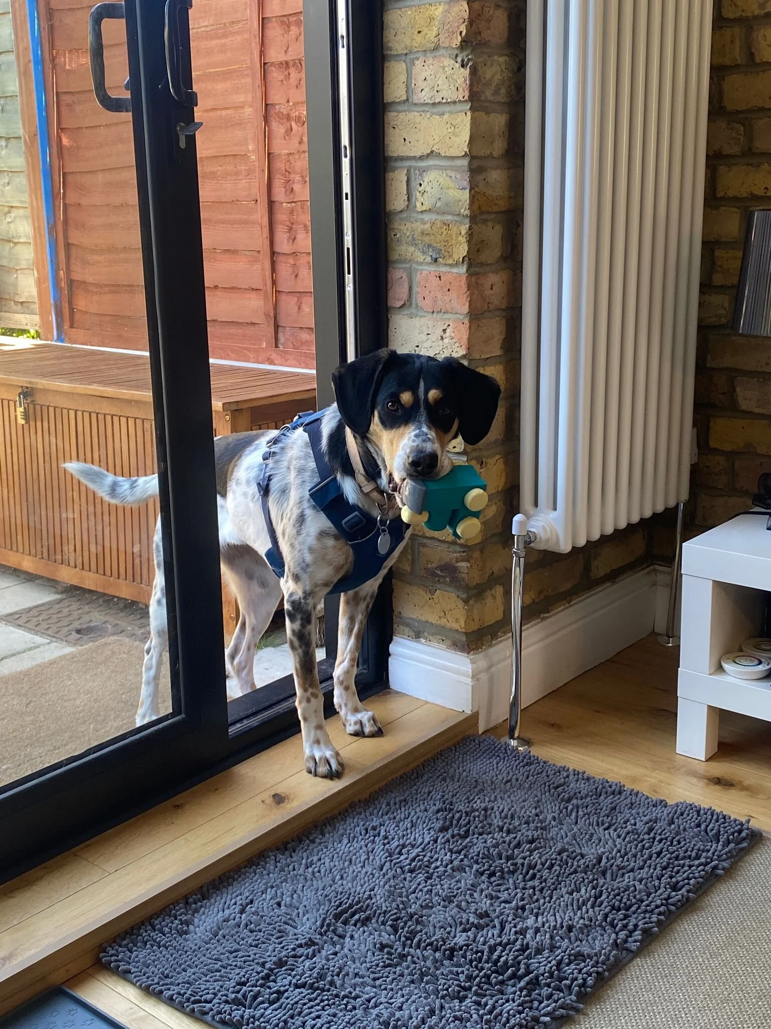 89FFBE3F-D7B8-4014-AEB3-4262266C3BDB