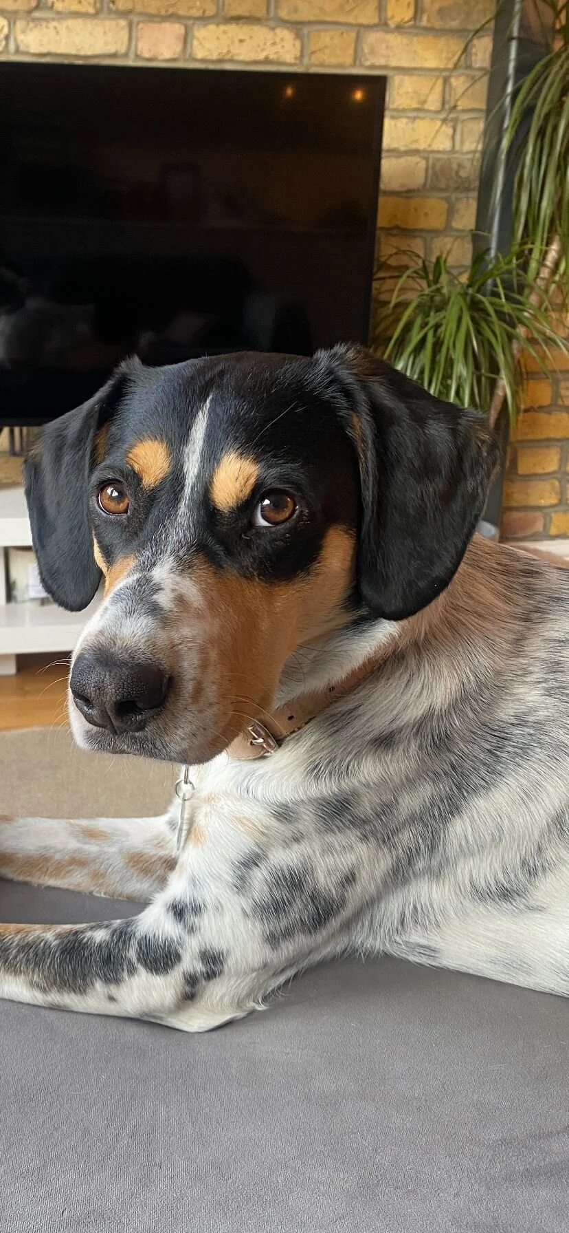 0FA1BA4D-8CDC-4DB8-9A22-8E4BB4305322