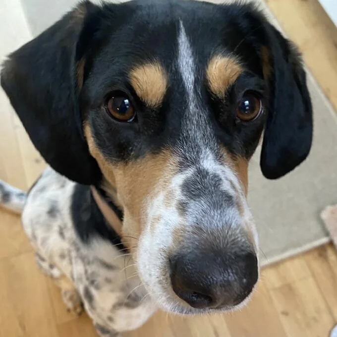 1BDF374B-7D85-4227-AD84-9B51E7BD7680