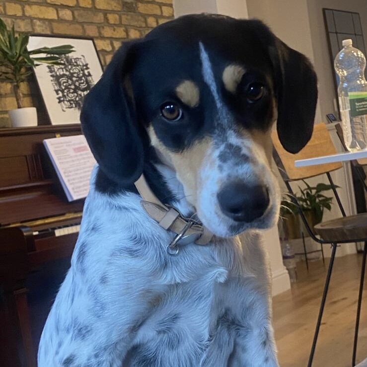 B89E2681-CF85-452E-AE0E-02E441110CD7