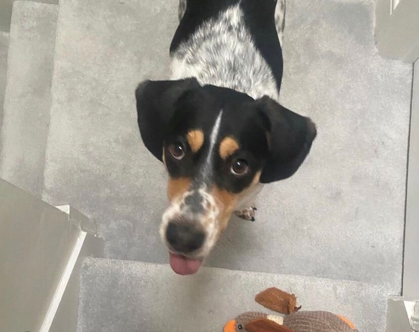 ED83D755-8610-4A17-A423-2319E6736026