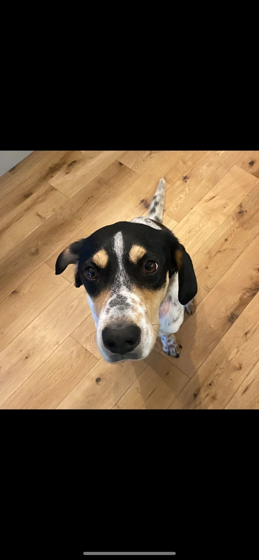 769B29C2-C861-4B55-9599-A3666B958D39