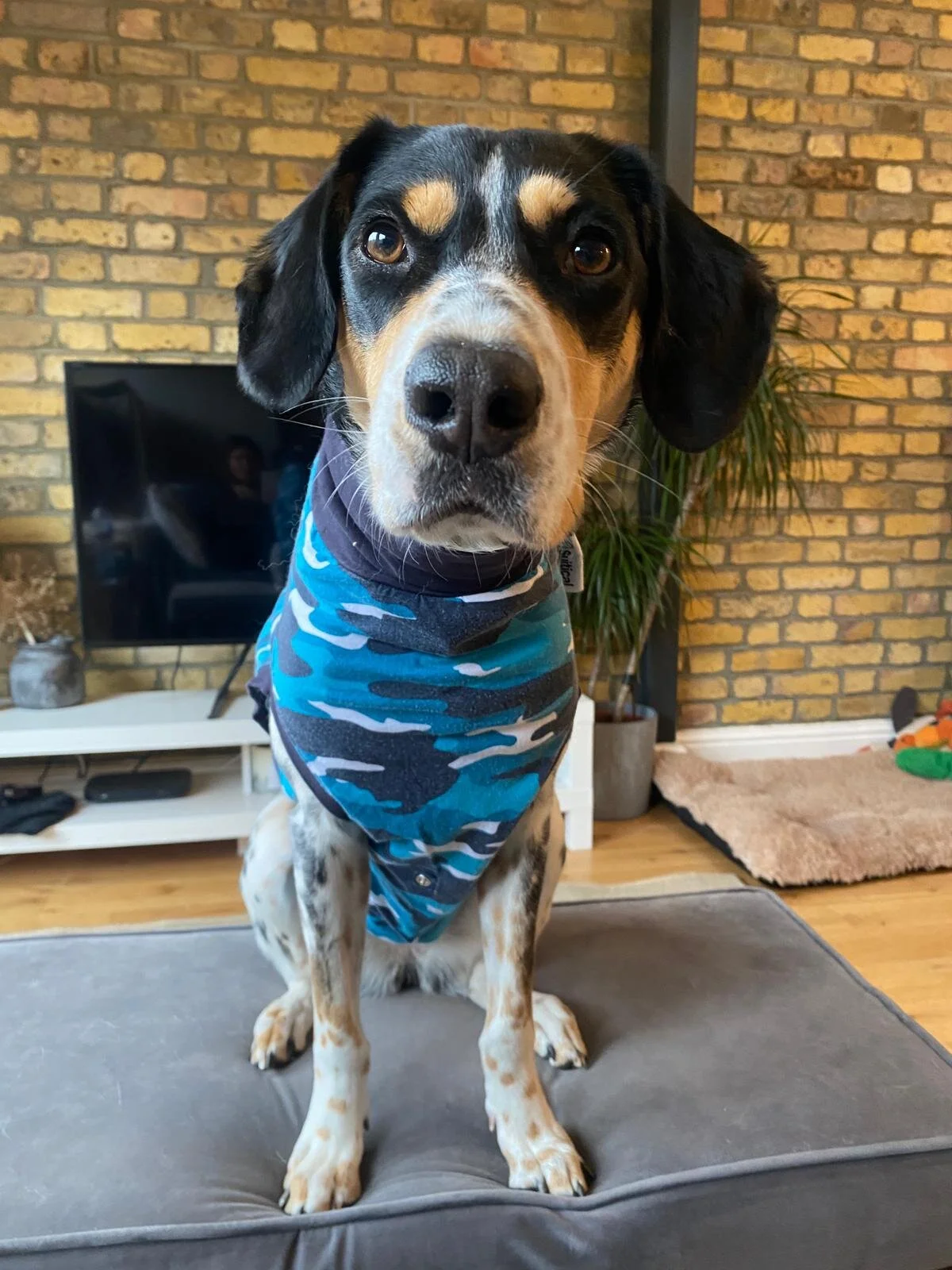 F58D2C6F-DB57-436F-8721-1789C4B4D599