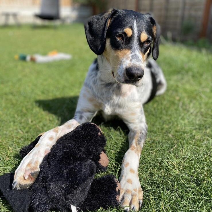 AF343810-C880-4696-8068-5AF3A489F3A8