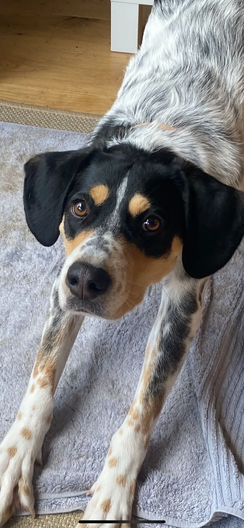 7B1C123E-EC1E-462F-9B7E-B95F14E747F0