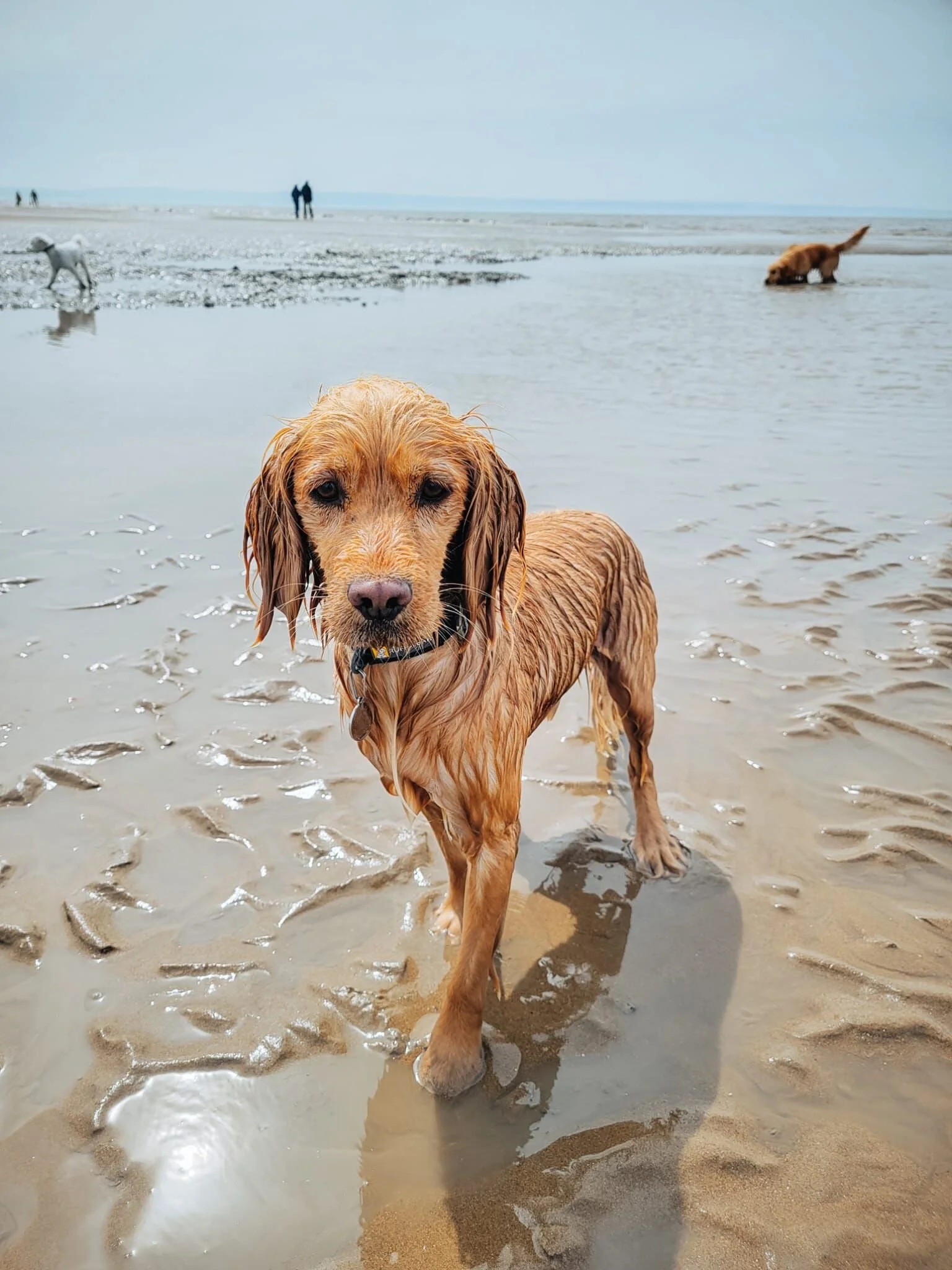 A78AF5F4-823A-48C7-999A-C156888E3CF7