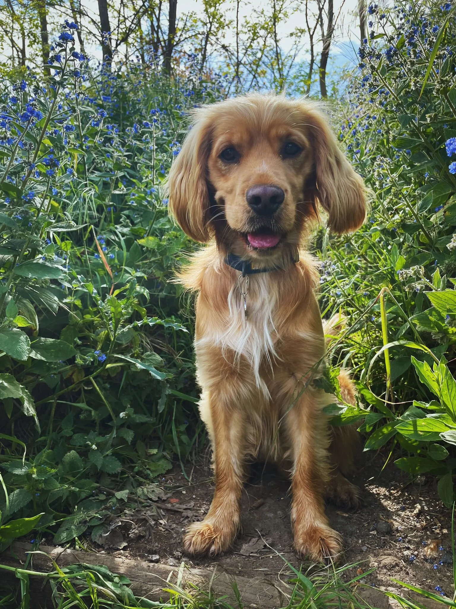 2DFA190C-D5EF-4227-928C-9CDEB777D937