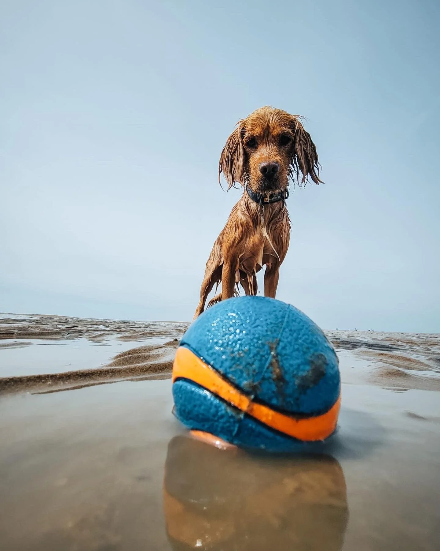 354FB7E1-6B9A-4A0C-987E-B2CF84C9A028