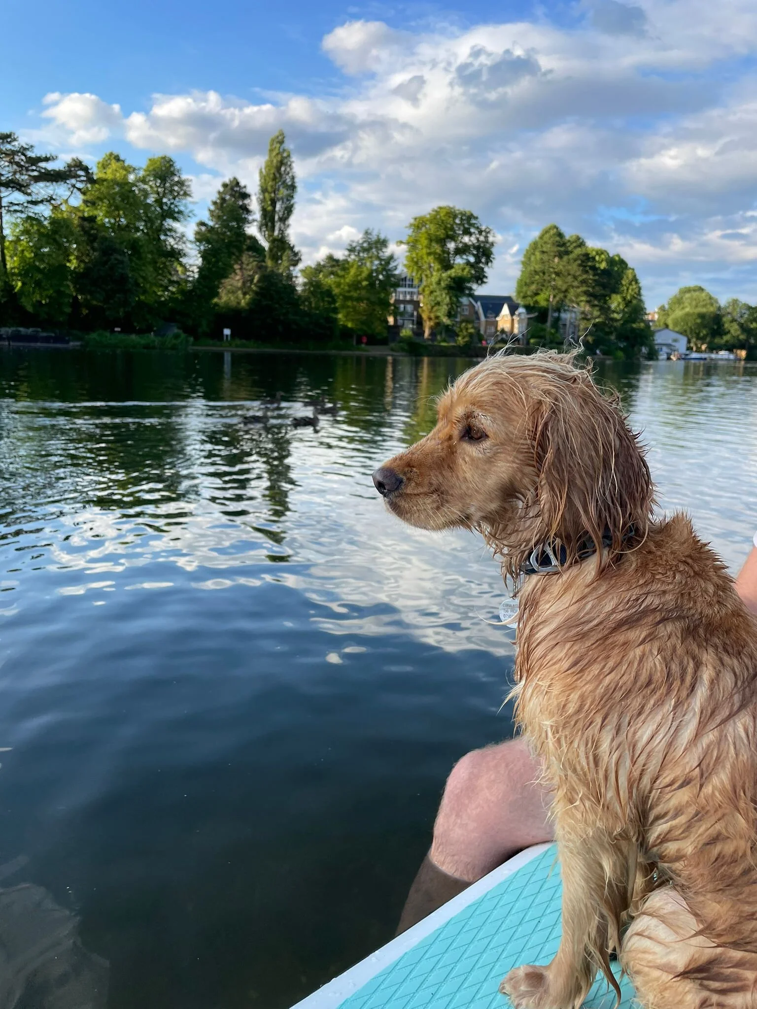 69373906-0F30-4FA6-AF37-195F7C8B8275