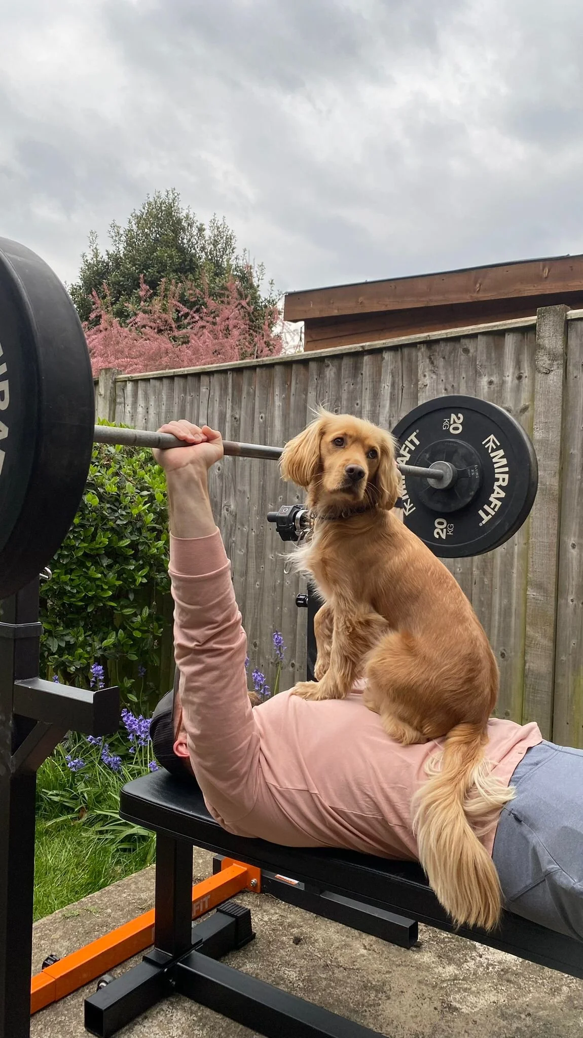 D2850D05-DB14-41D8-9F54-A8BFF774B6F2