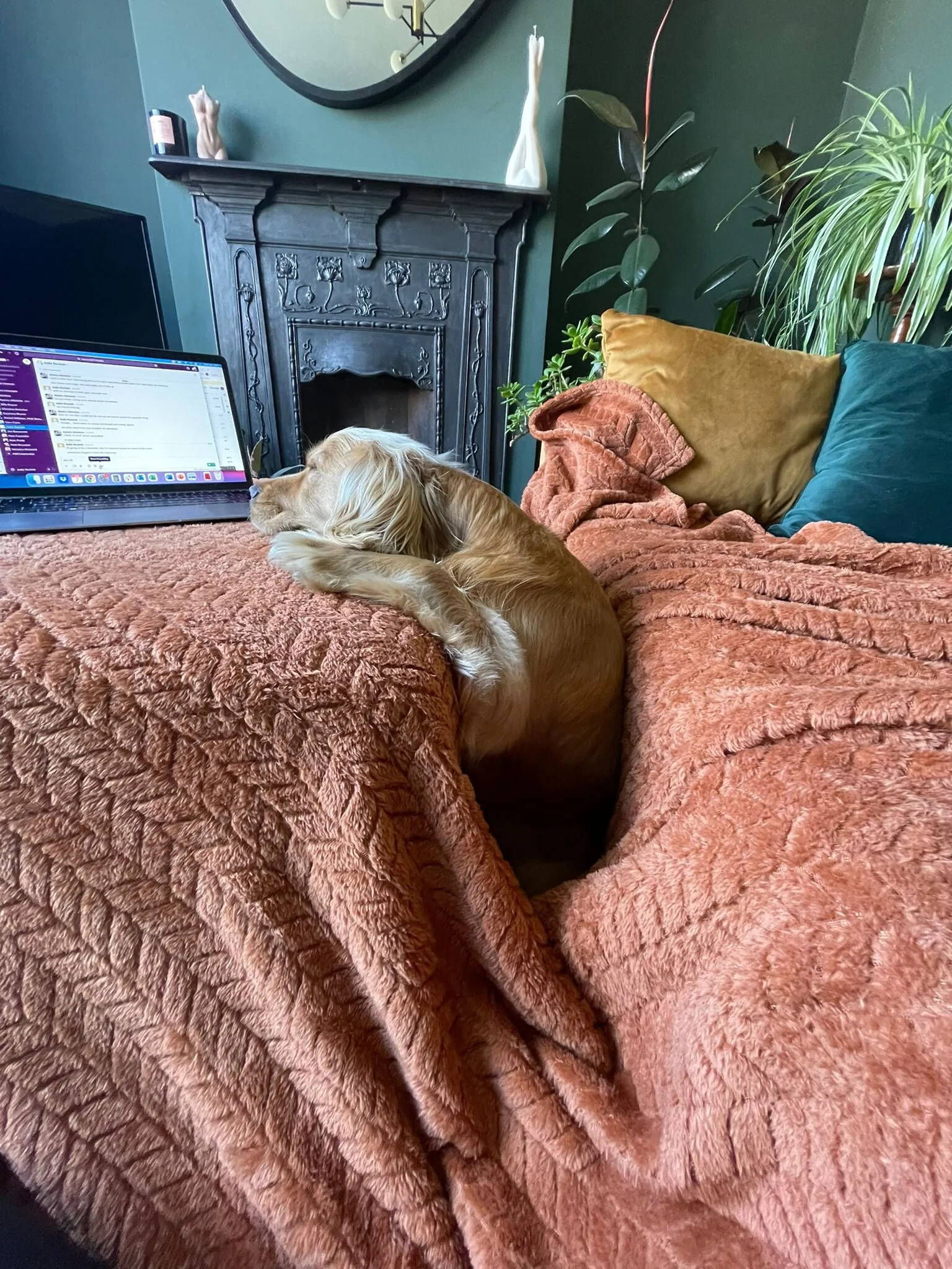 E9732B8F-7DC0-4FFA-9A13-2AD8C76AD5A3