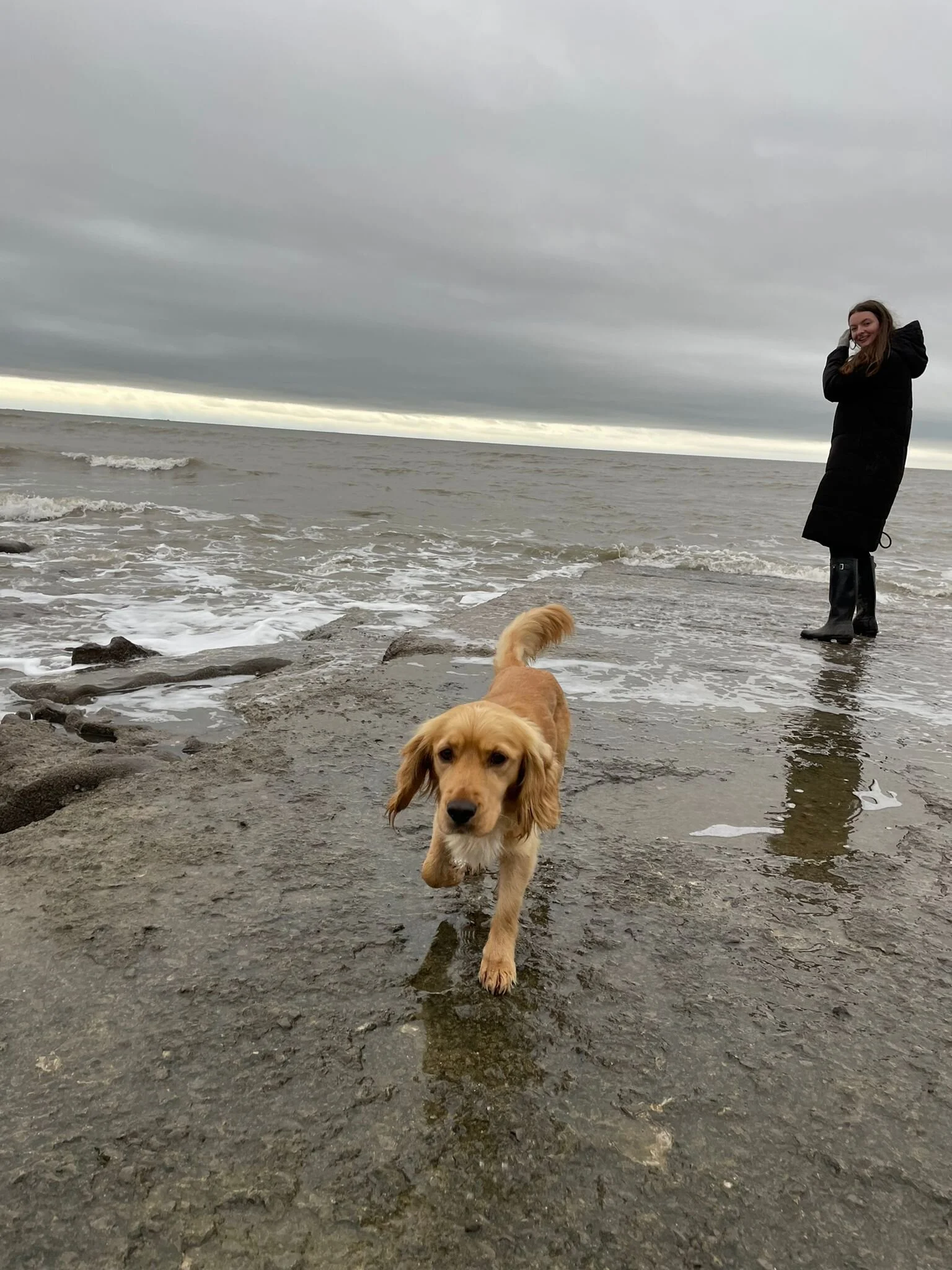 28013E6D-A567-4D5C-95F7-CFF260E0BABB