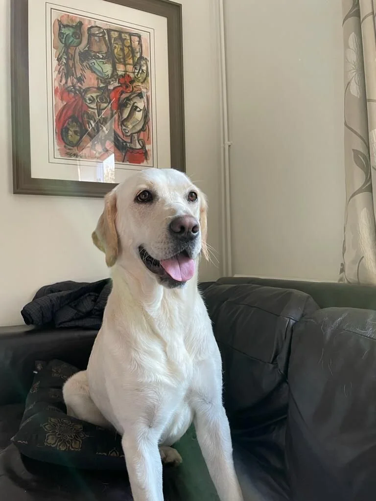 46365030-B710-4A77-9523-C3576BE093DB