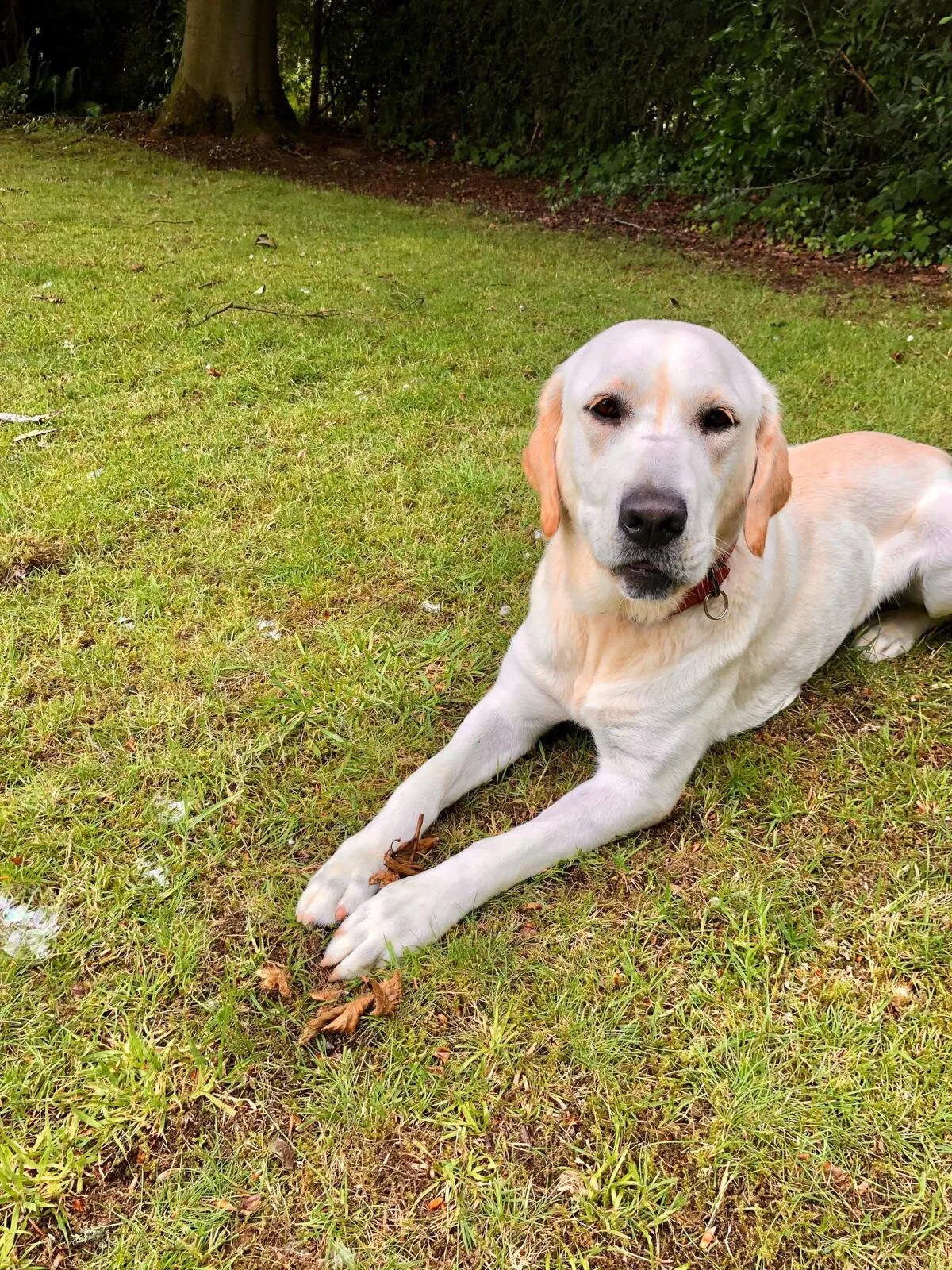 85AABA25-BA72-4621-83D5-B1BEF8126C37