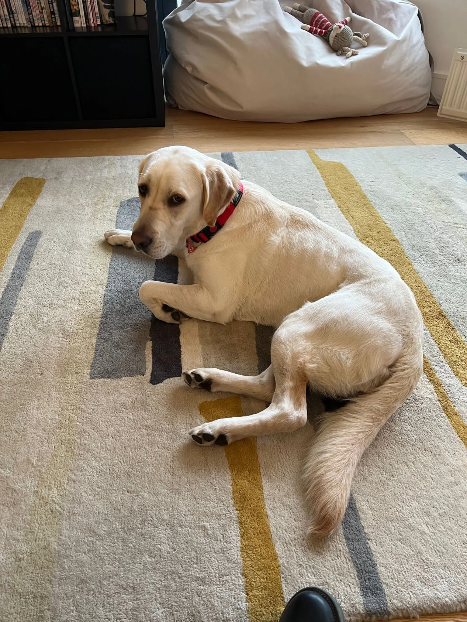 169CE0C2-93C8-4DDF-B0B5-381BAE8CAF2D